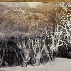 Tree, tiger, mountains paintings Book