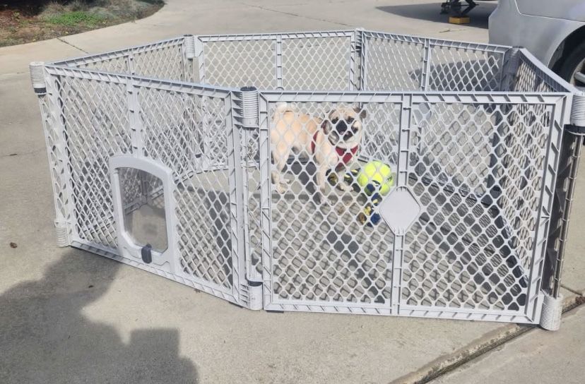 Dog Gate/Exercise Playpen