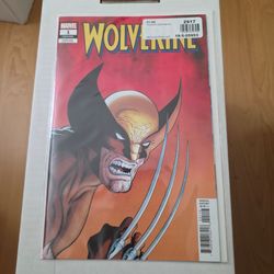 Wolverine #1 - Mike Zeck - Hidden Gem (1:50)