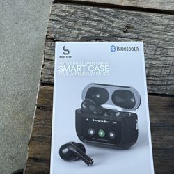 Earphones