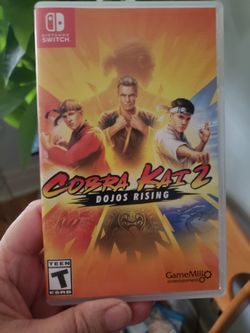 Nintendo Switch Game