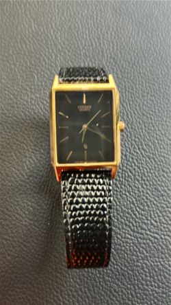 Citizen watch