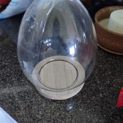Terrarium Egg Shaped Small