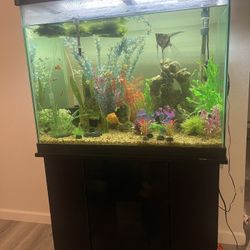 Freshwater Fish Tank & Stand