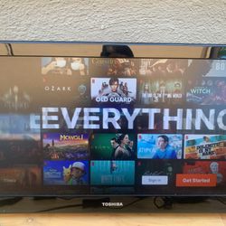 Toshiba 23” TV/DVD Combo With Roku  WALL MOUNT &  Stand 
