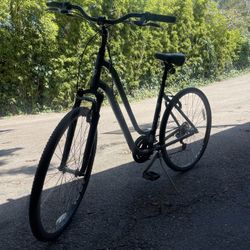 Trek bike (model: Verve 2 - Size 19”)