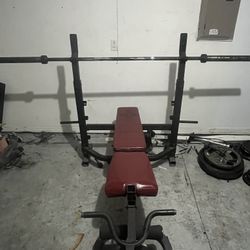 Like New Bench With Preacher Curl Setting Comes With 2 25lbs And 4 10lbs