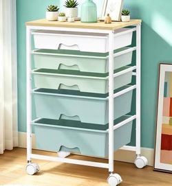 Rolling Carts with 5 Drawers