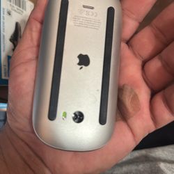 Magic Mouse Apple 
