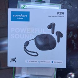 Soundcore P25i True Wireless Headphones 