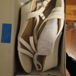 Brand New Women Shoes!