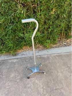 Walking Stick