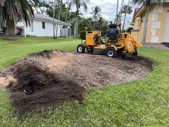 Stump Grinding 