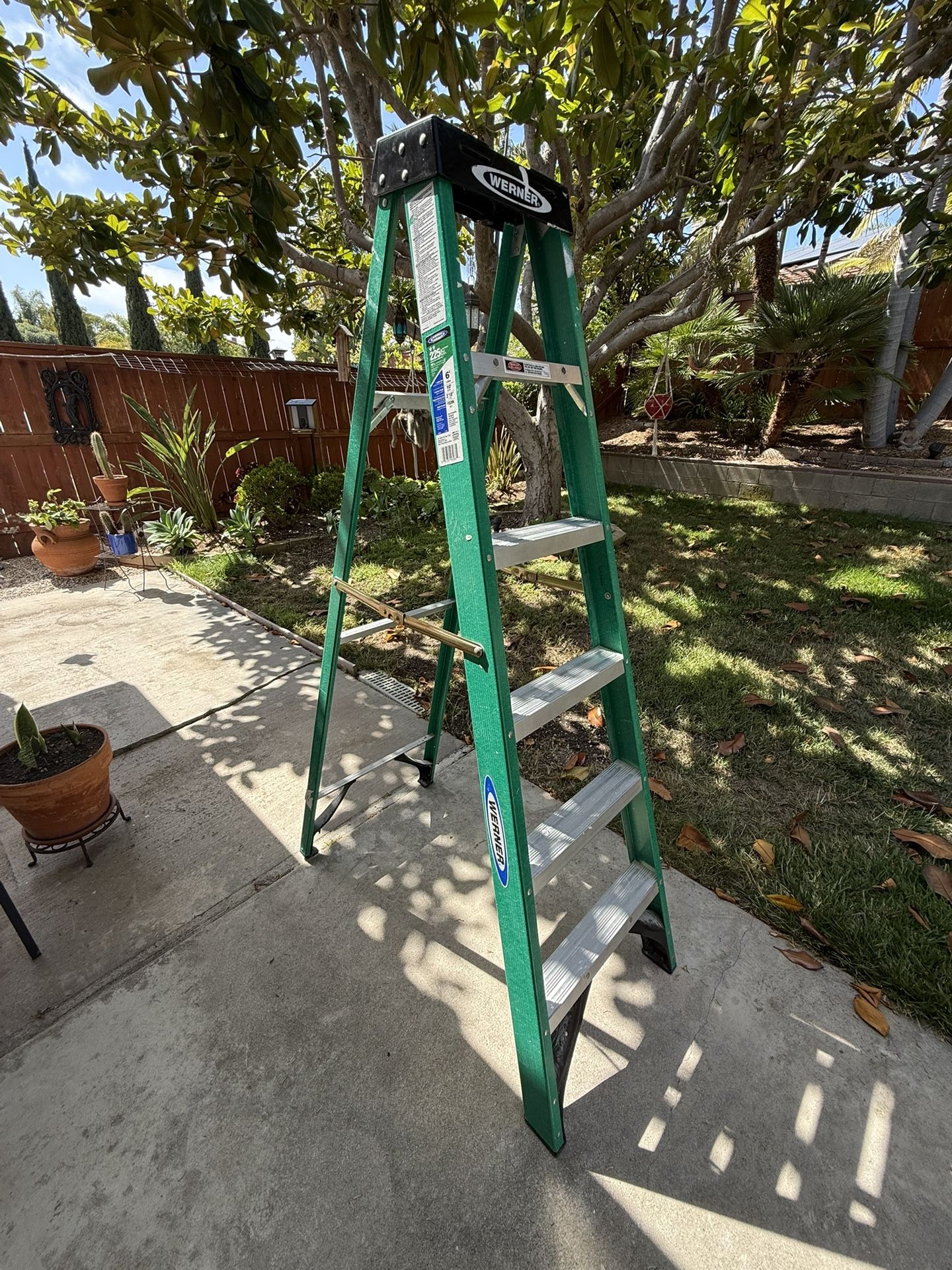 Werner 6’ Ladder 225 Lb Rated