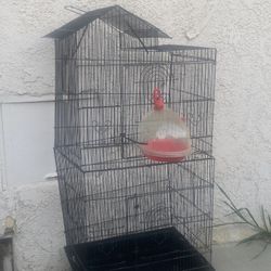 Birdcage 