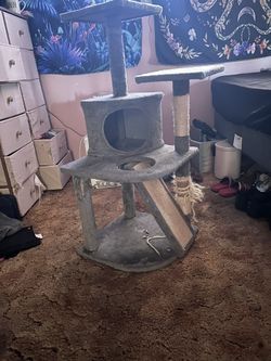 Cat Play House 