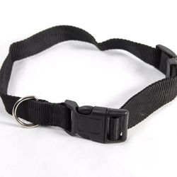 Classic Black Dog Collar Size Medium Large 