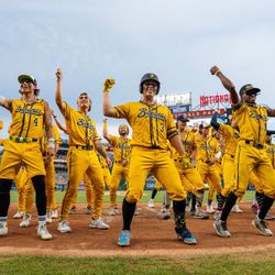 4 Tickets To Savannah Bananas Baseball Game 3/22/26