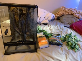 Terrarium for sale