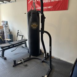 Everlast Punching Bag