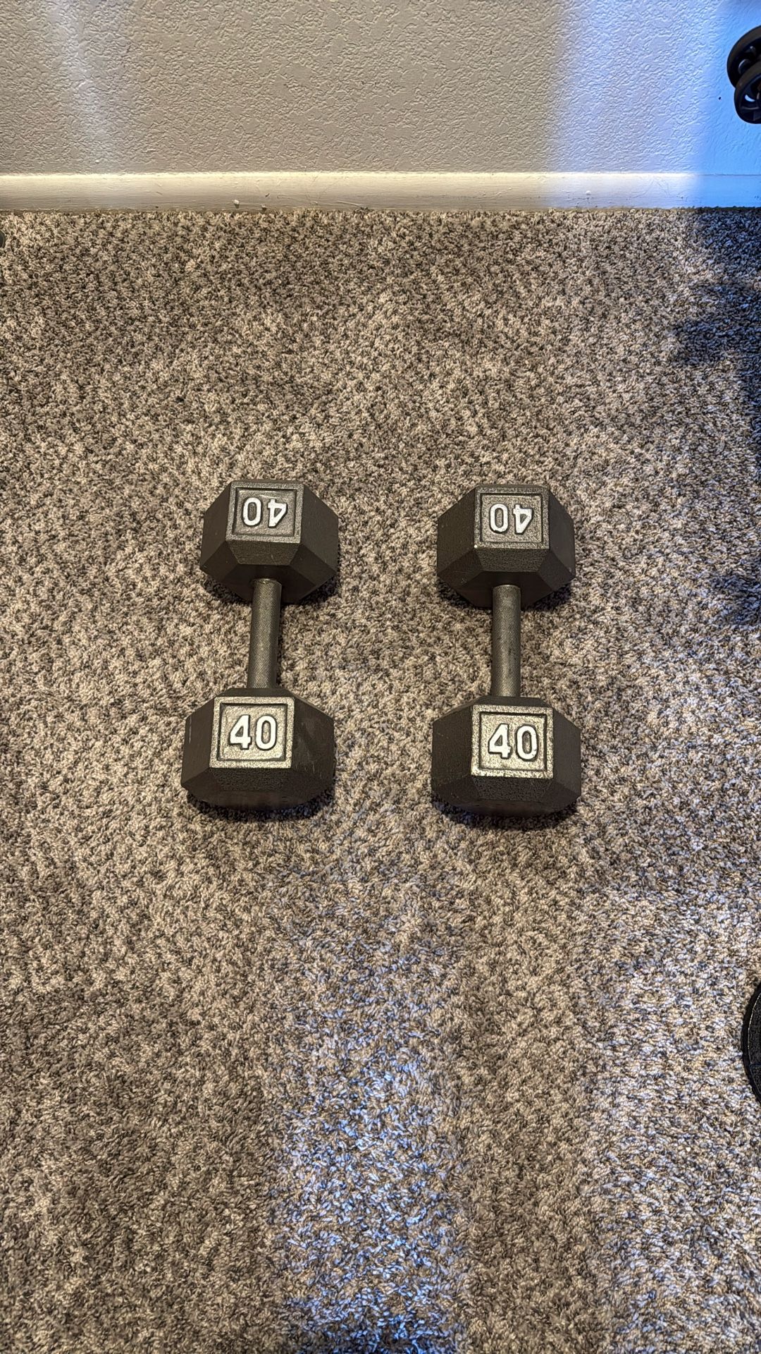 40 lb Dumbells