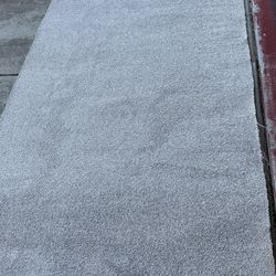 Brand New Light Gray Accent Rug