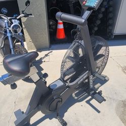 Rogue ECHO Bike