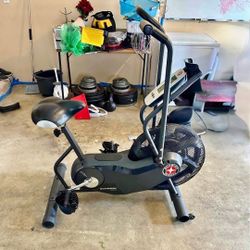 Schwinn Airdyne Airbike AD6