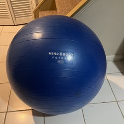 Exercise Ball 65cm
