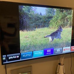 50 Inch Vizio TV