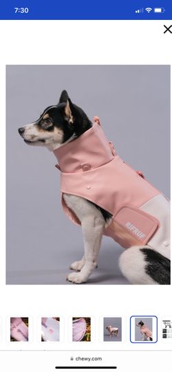 Rifruf Waterproof Dog Jacket