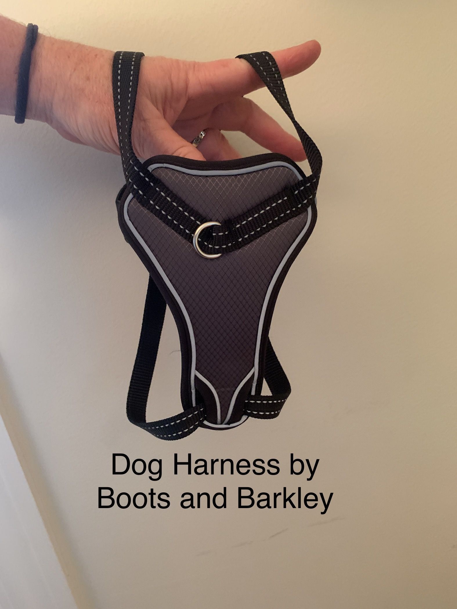 Adjustable Pet Harness by Boots and Barkley in Size Small