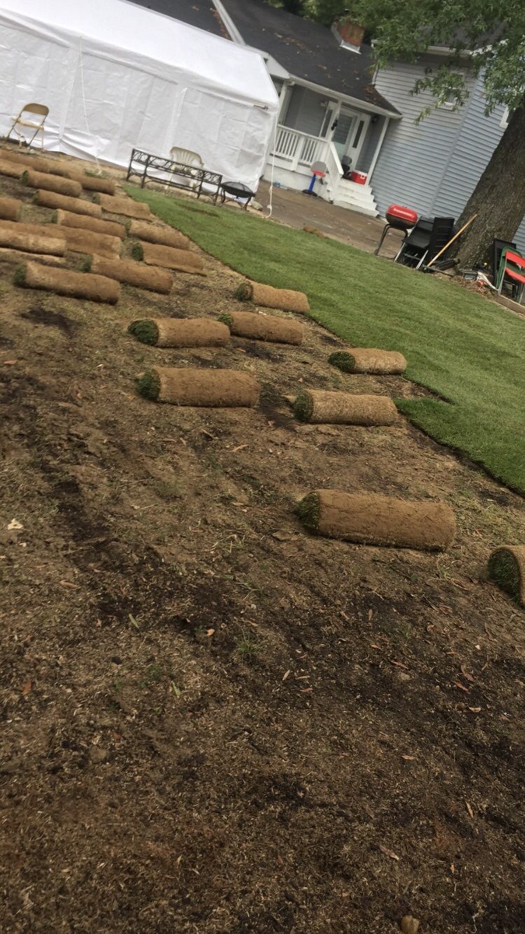 Fresh Sod
