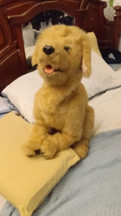 Furreal biscuit my loving pup