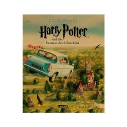 Harry Potter Posters(2)