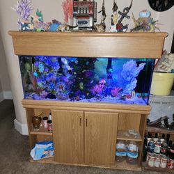 70 Gal. Fish Tank 