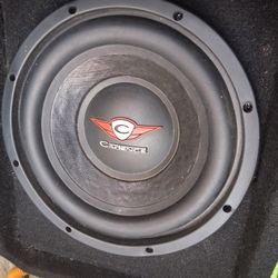 10" Subwoofer 
