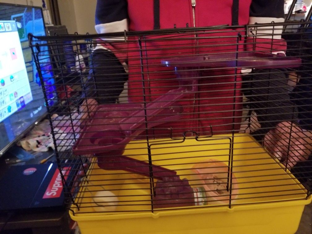 Hamster cage.