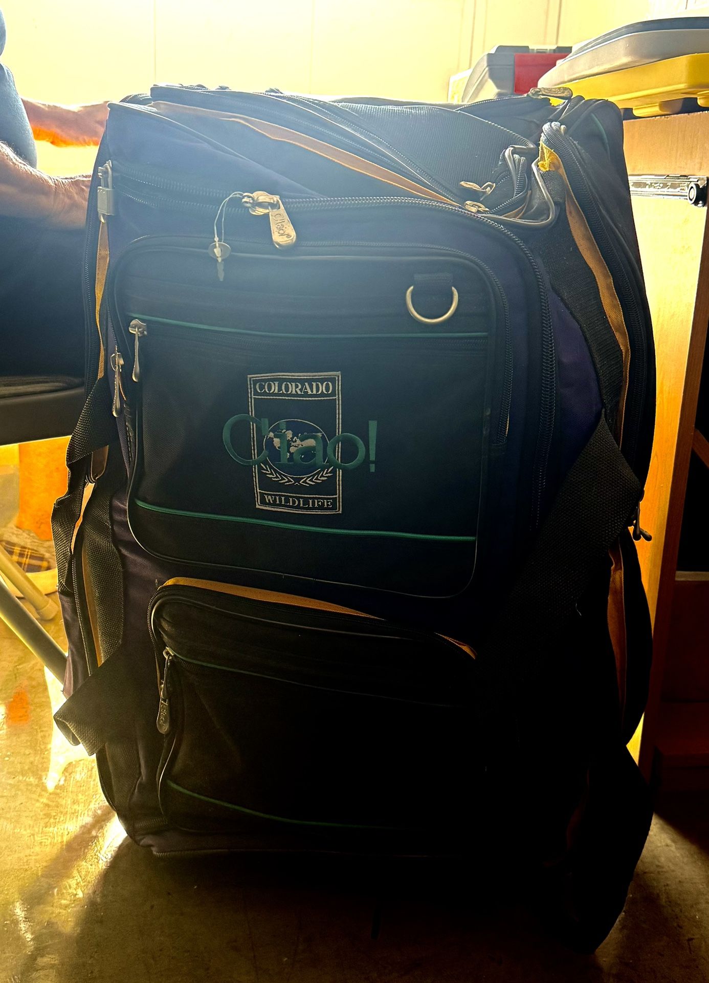 Nice Rolling Travel Bag