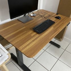 Electric Sit-Stand Desk