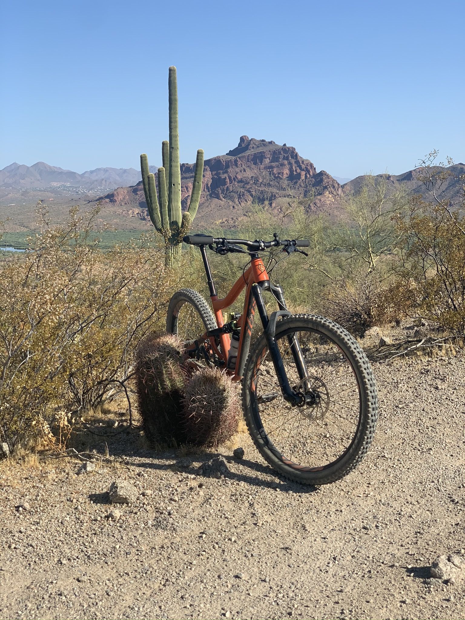 2020 Ibis Ripmo AF MTB Mountain Bike Mountainbike Size Large
