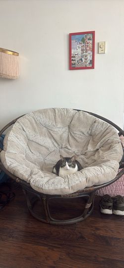 cream colored papasan chair