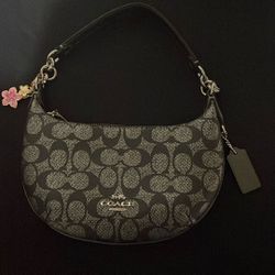 Coach mini Payton bag 