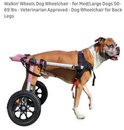 Walkin Wheels for Medium Dog