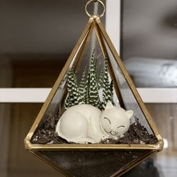 Small Geometric Planter With Succulent (mini) Cat Not Included