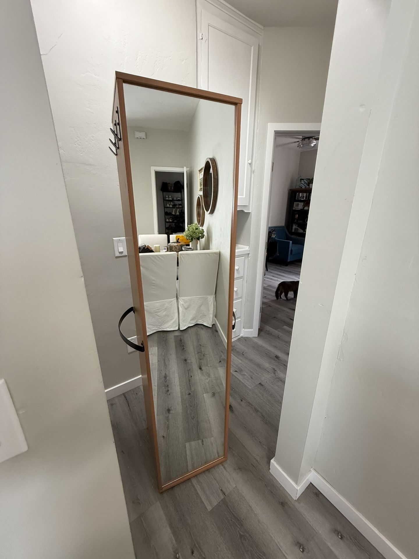 Tall Mirrored Cabinet with Hooks and Storage