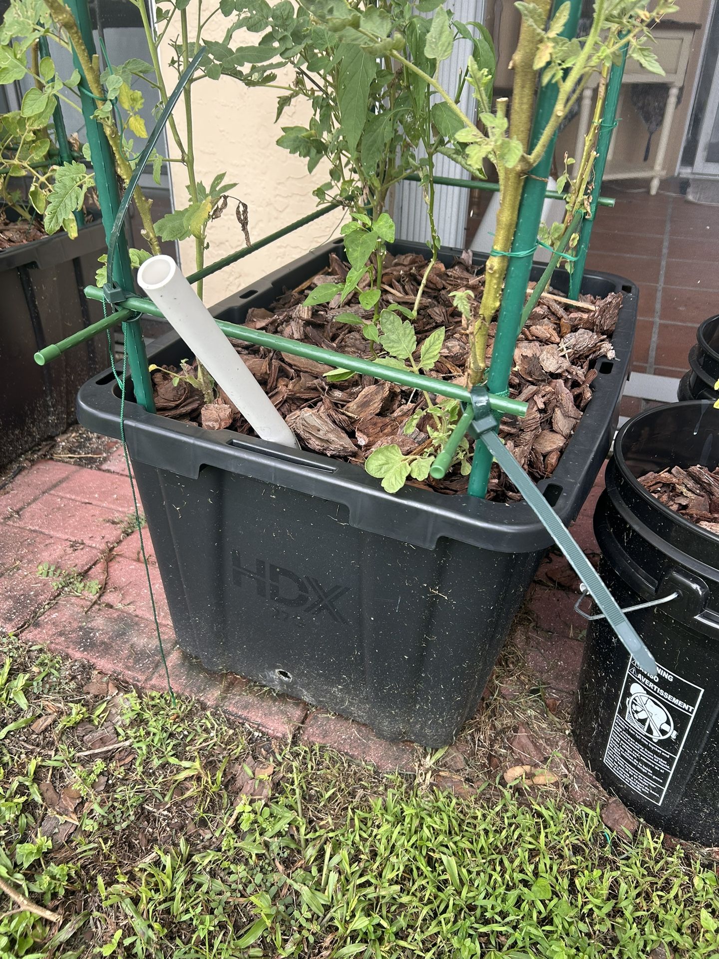 Grow Boxes