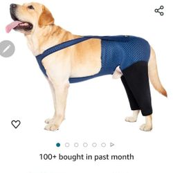 Doggie Recovery Suit Leggings Jogging Outfit