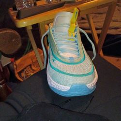 Nikes ( Barely Used ) 