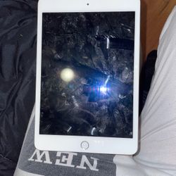 iPad Mini 4
